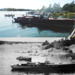 Loris på Ivars skärgårdsö Ängsholmen 1924 och 2019